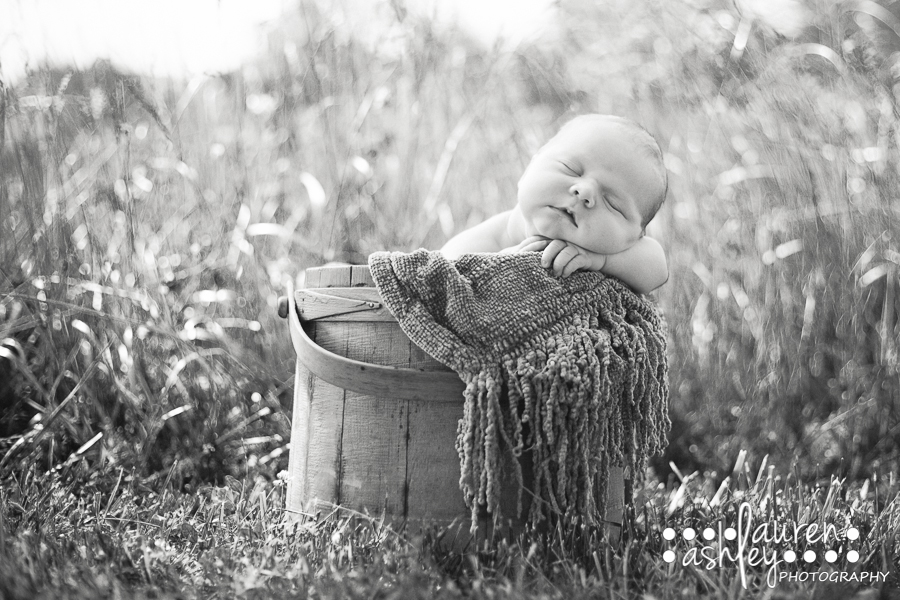 Newborn photographer in Cedar Rapids