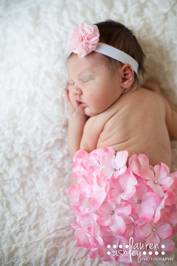 reese newborn-6