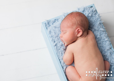 Harrison newborn-56